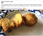 gfJules Gluten Free Cornbread Mix