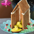 gfJules GF Graham Cracker – Gingerbread Mix